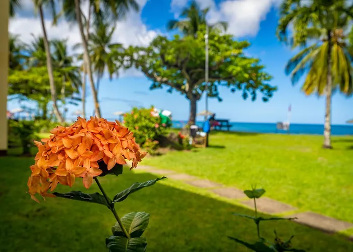 Starfish Tobago